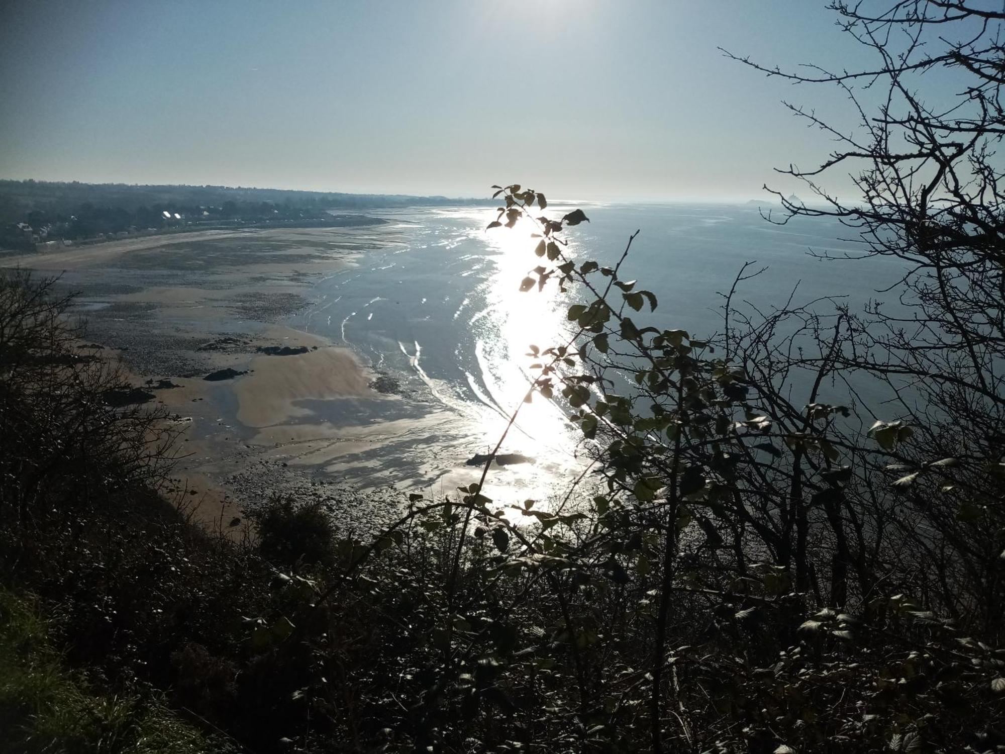 La Campagne Au Bord De La Mer, Chambre Chez L'Habitant Champeaux Exteriör bild